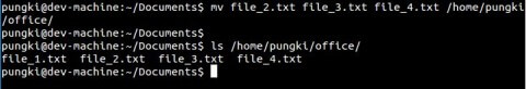Linux：mv 命令的10个实用例子