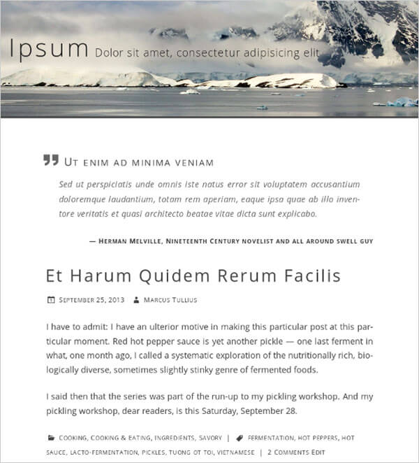 Beluga-Simple-Elegant-Blogging-WP-Theme-2014
