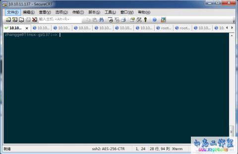 SecureCRT全局发送相同命令,快速抓取服务器信息的方法 SecureCRT全局发送相同命令,快速抓取服务器信息的方法