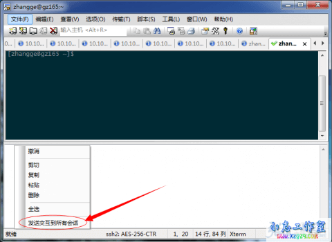 SecureCRT全局发送相同命令,快速抓取服务器信息的方法 SecureCRT全局发送相同命令,快速抓取服务器信息的方法