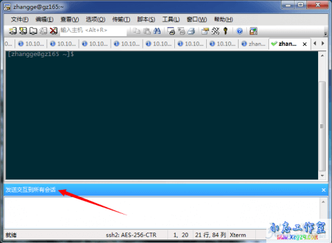 SecureCRT全局发送相同命令,快速抓取服务器信息的方法 SecureCRT全局发送相同命令,快速抓取服务器信息的方法