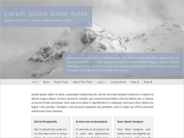 Gray-Whale-Business-Wp-Theme-2014