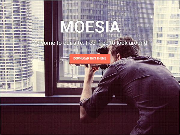 Moesia-Perfect-Business-WP-theme-2014
