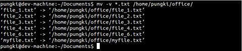 Linux：mv 命令的10个实用例子