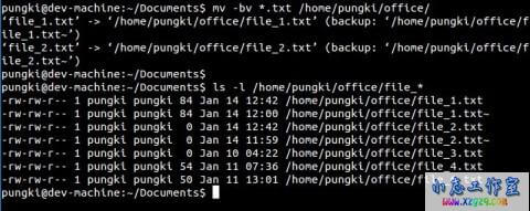 Linux：mv 命令的10个实用例子