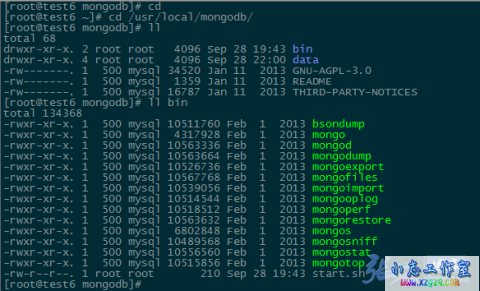 Linux系统下MongoDB的简单安装与基本操作