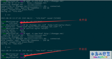 实测Nginx服务器开启pagespeed加速效果