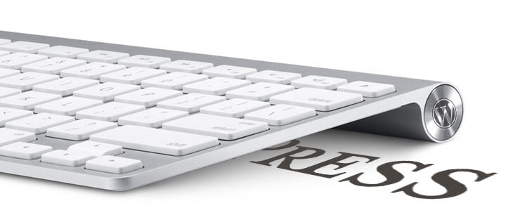 显示当前文章分类和父分类的链接 显示当前文章分类和父分类的链接