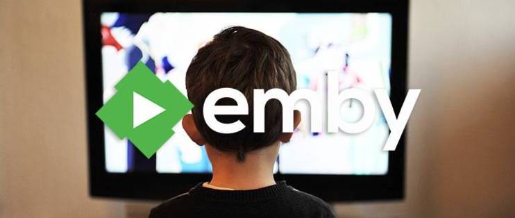 黑群晖安装Emby注意事项及开启SSL安全访问教程(群晖搭建emby)