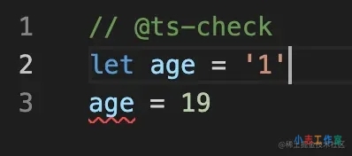 TypeScript的类型指令单行注释详解(typescript高级类型声明)