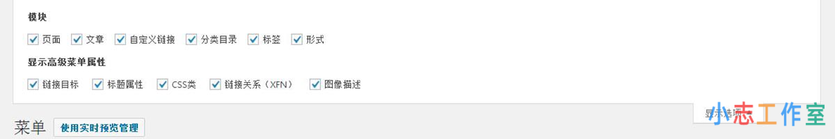 WordPress菜单面板各选项配置及说明(wordpress超级菜单) WordPress菜单面板各选项配置及说明(wordpress超级菜单)