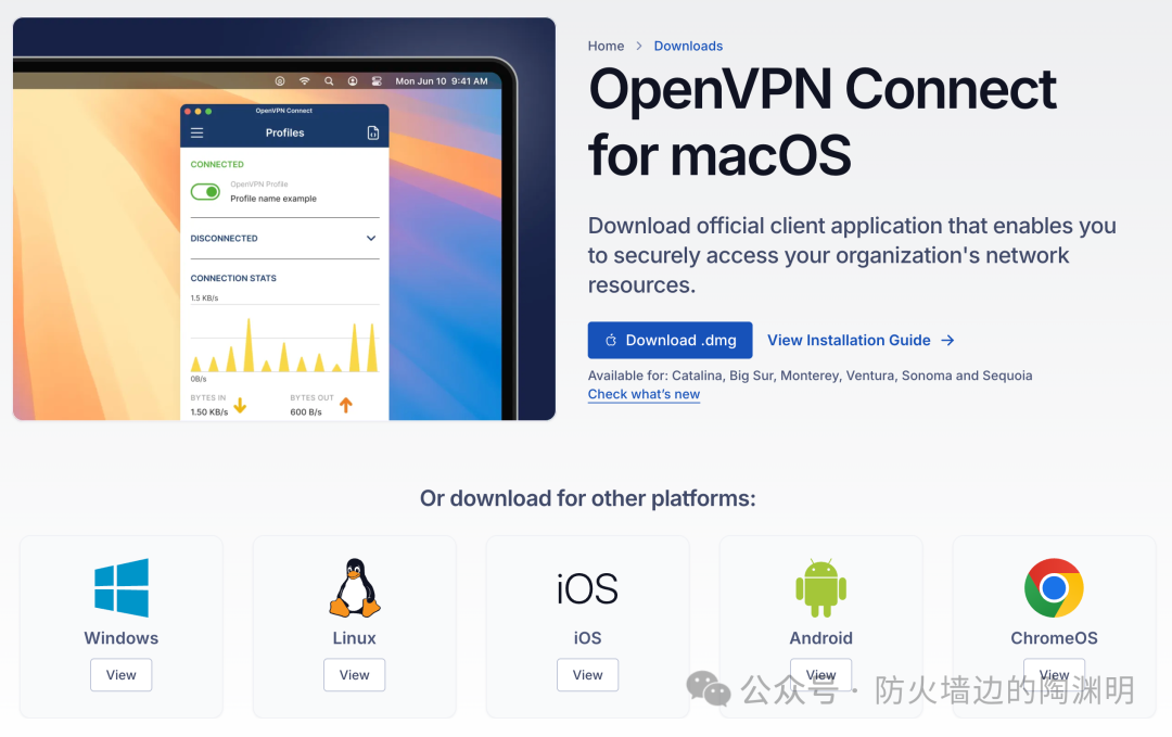 OpenVPN 部署实用指南 OpenVPN 部署实用指南